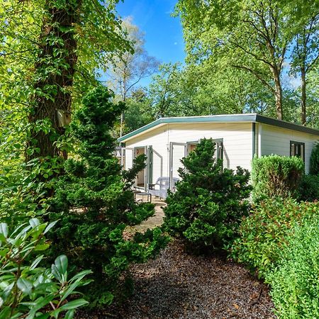 Luxe Familiehuis Veluwe 4-6 Persons Pool Kids Dog Hoenderloo Exterior foto